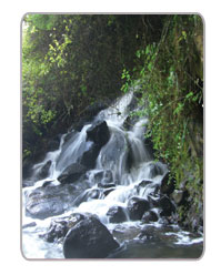 AQUAMANTRA Premium Natural Spring Water